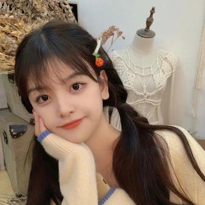 森林里的熊先生